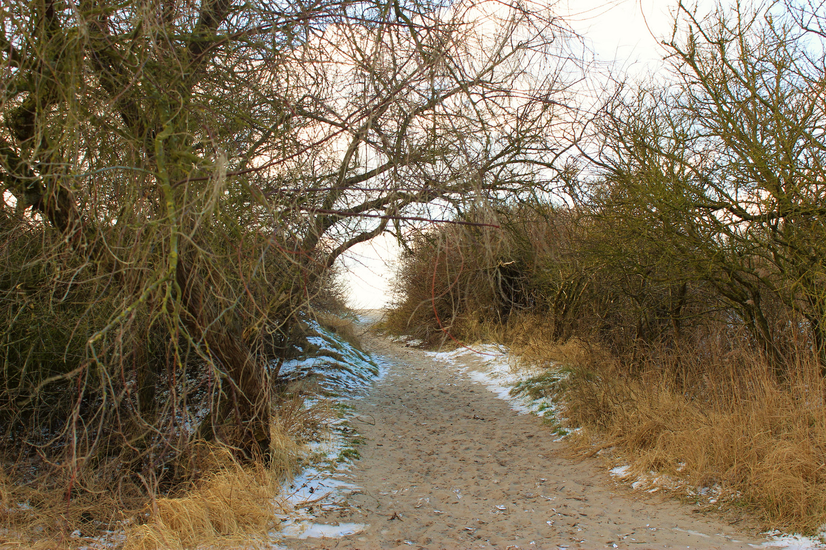 Die Ostsee bei Markgrafenheide 