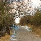 Die Ostsee bei Markgrafenheide 