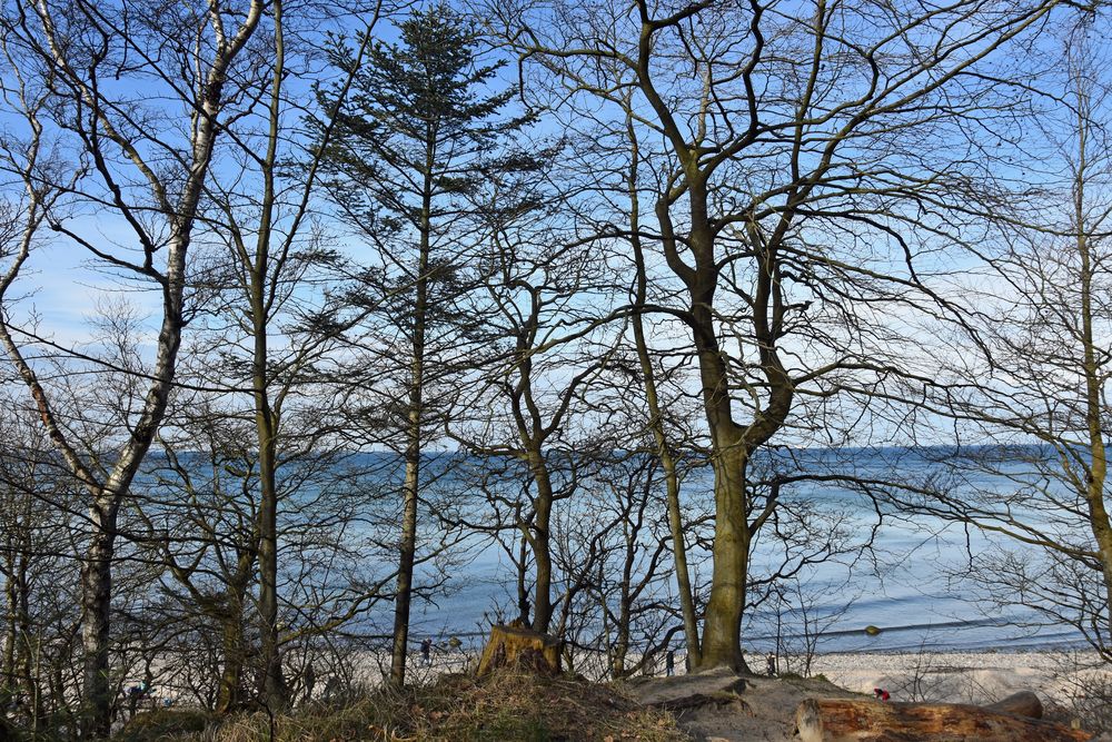 Die Ostsee bei Wilhelmshöhe