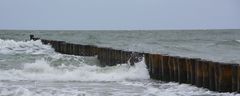 die ostsee bei zingst