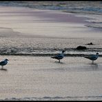 Die Ostsee