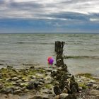 Die Ostsee feiert den Frühling...