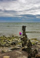 Die Ostsee feiert den Frühling...