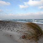 Die Ostsee im Winter