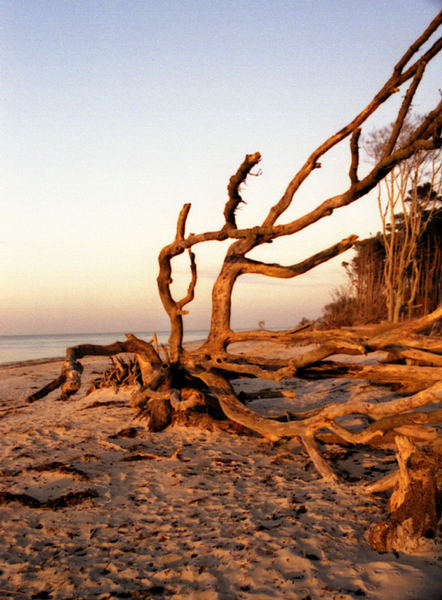 die Ostsee im Winter Teil 1