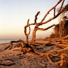 die Ostsee im Winter Teil 1