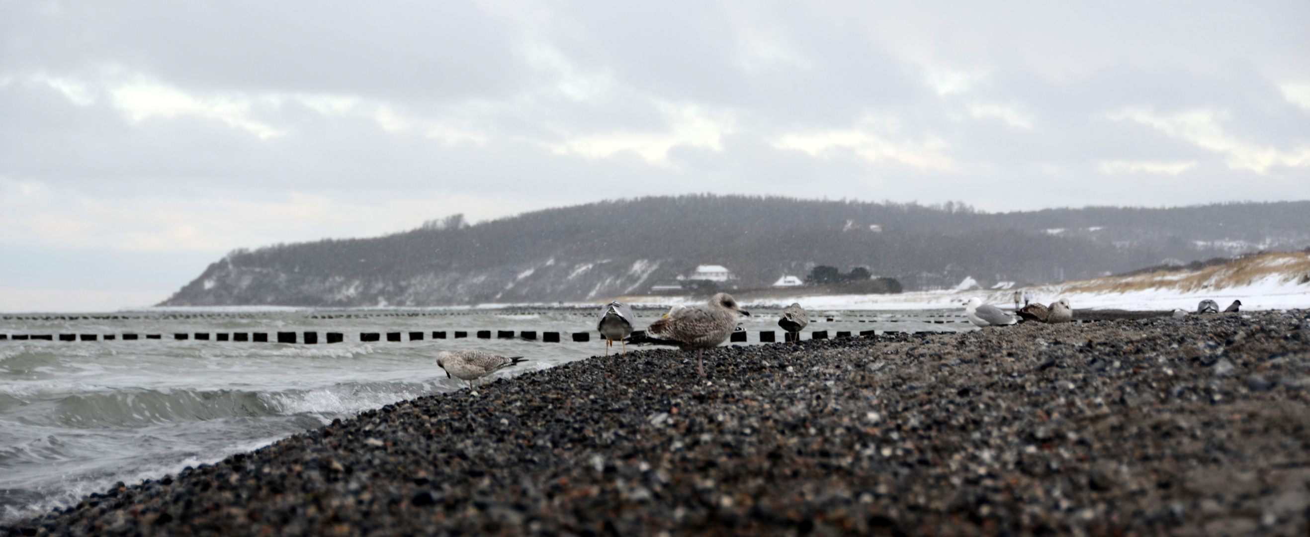 Die Ostsee / Insel Hiddensee