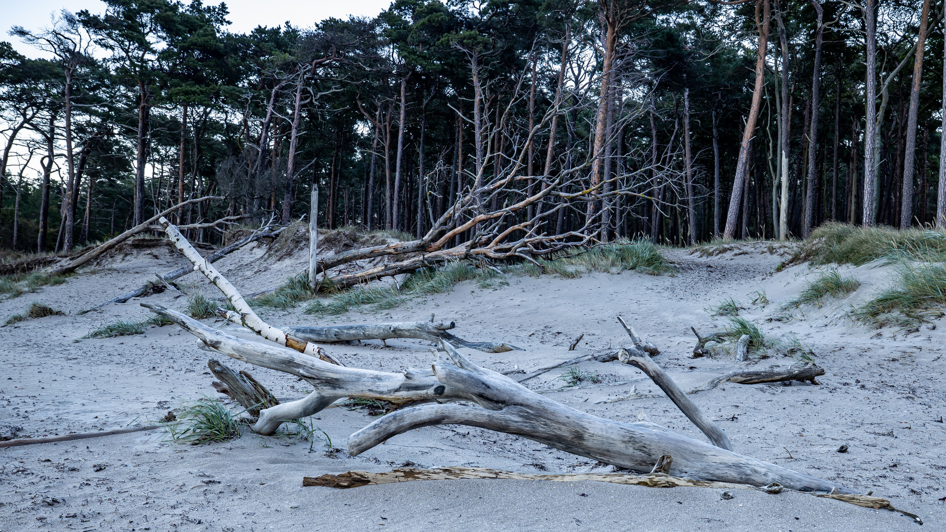 Die Ostsee nagt am Weststrand