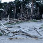 Die Ostsee nagt am Weststrand