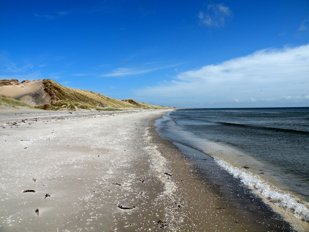 Die Ostsee-Seite oberhalb von Aalbæk.(Hulsig / Bunken.)Blickrichtung Skagen.