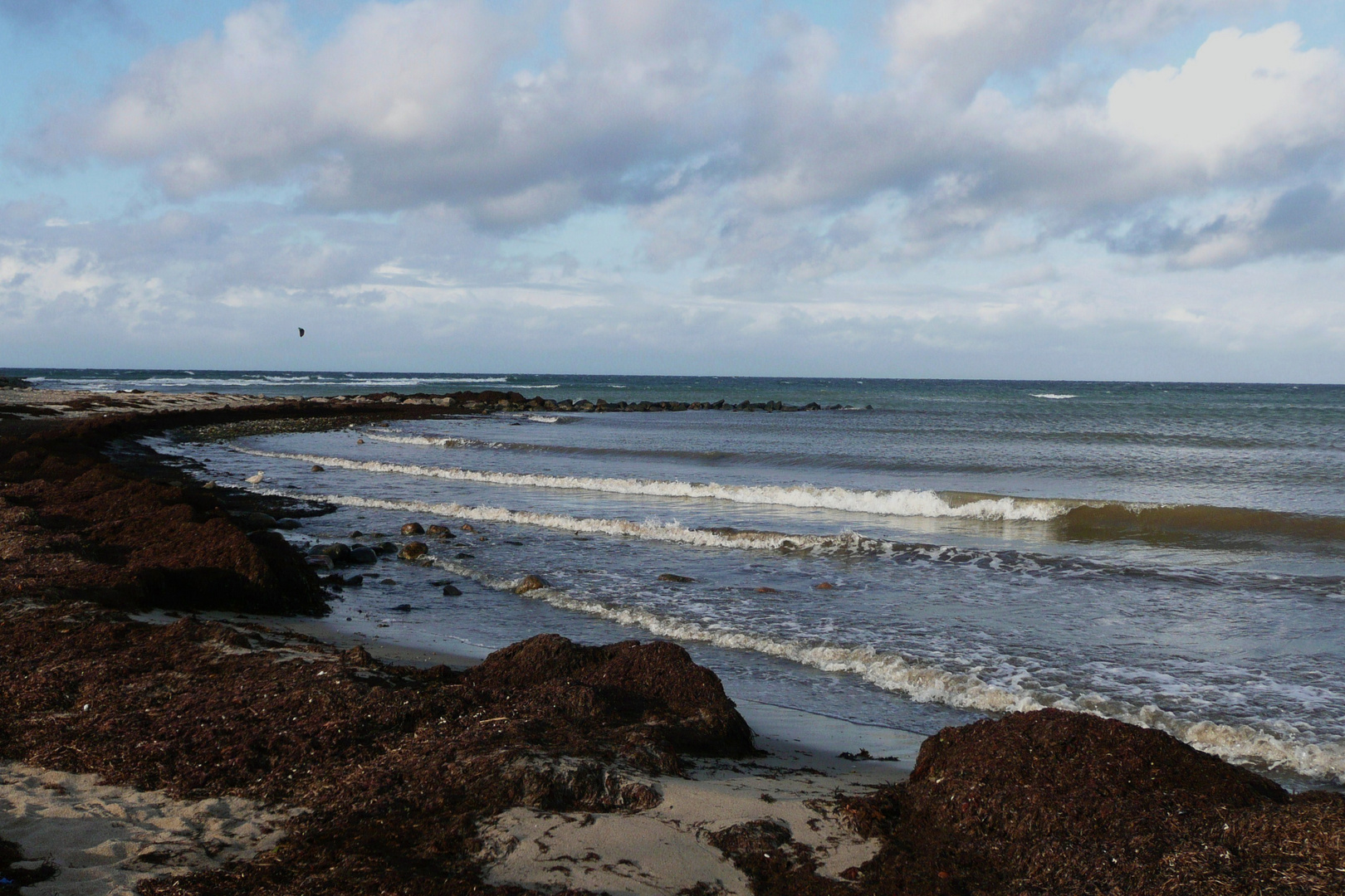 Die Ostsee stürmisch, dann gibt es viel Tang am Ufer.