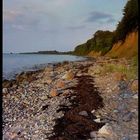 Die Ostseeküste bei Eckernförde (im Abendlicht)