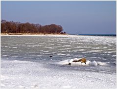 Die Ostseewellen