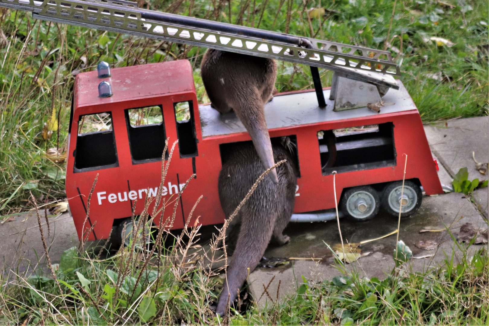 Die Otterfeuerwehr im Einsatz