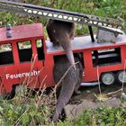 Die Otterfeuerwehr im Einsatz