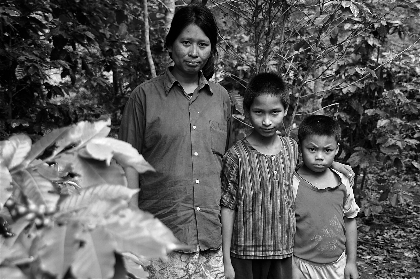 die pächterfamilie der kaffeeplantage, burma 2011