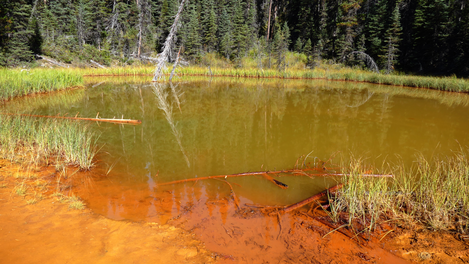 Die Paint Pots in Alberta, Kanada