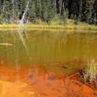 Die Paint Pots in Alberta, Kanada