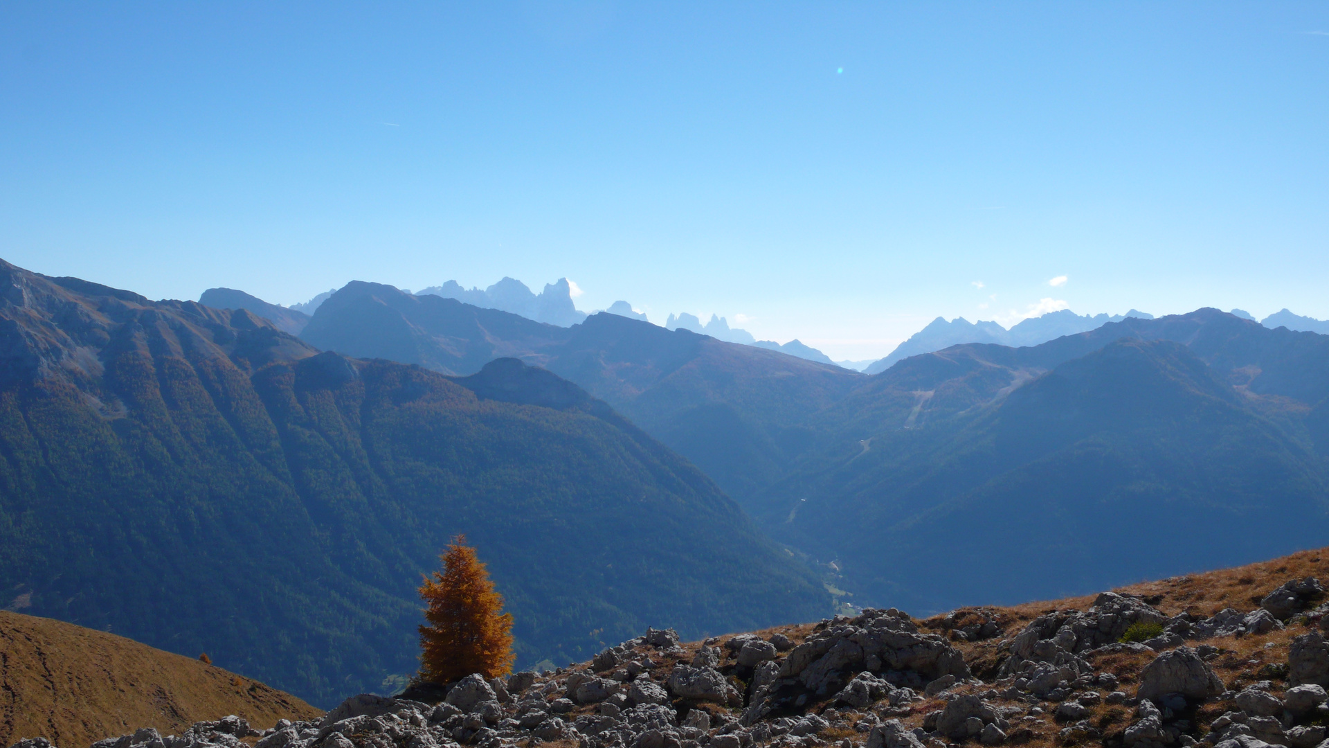 Die Palagruppe in den Dolomiten (vom Rosengarten aus gesehen)