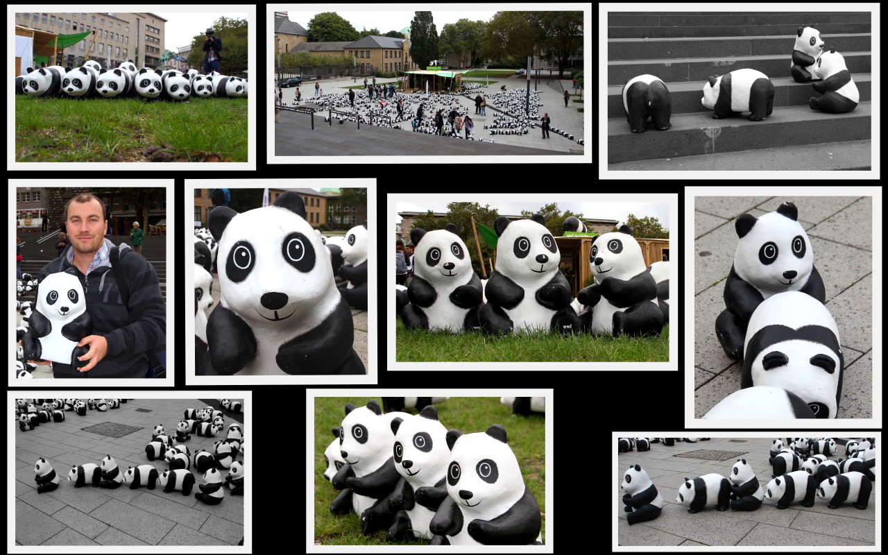 Die Panda Collage