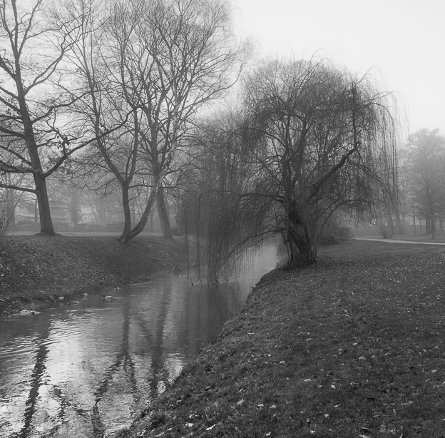 Die Panke, Bürgerpark Pankow