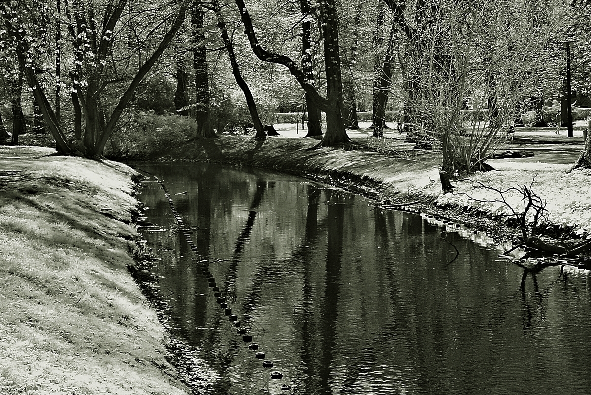 Die Panke durch den Schlosspark Pankow