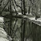 Die Panke durch den Schlosspark Pankow