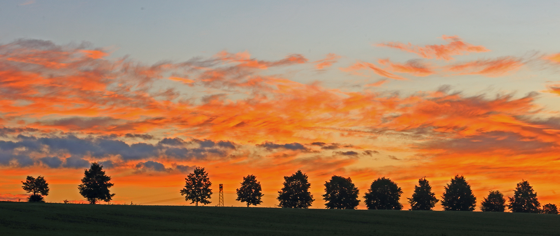 Die Parade der Bäume im Morgenrot bei tollem Himmel ...