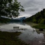 Die Parkbank am See - D75_6701