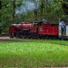 Die Parkeisenbahn in Dresden