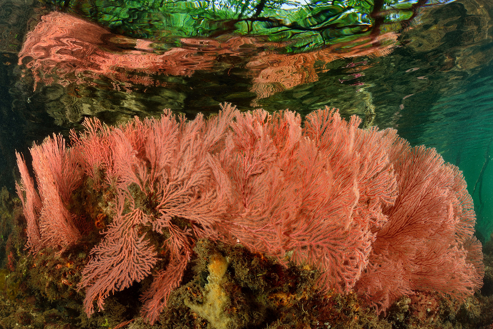 Die Passage Foto & Bild landschaft, lebensräume, meer & strand Bilder