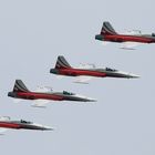 Die Patrouille Suisse in Hamburg...