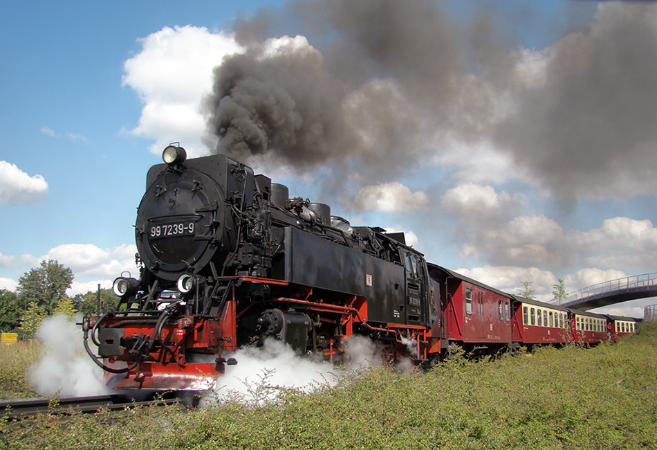 Die Pausbacken der Brockenbahn!