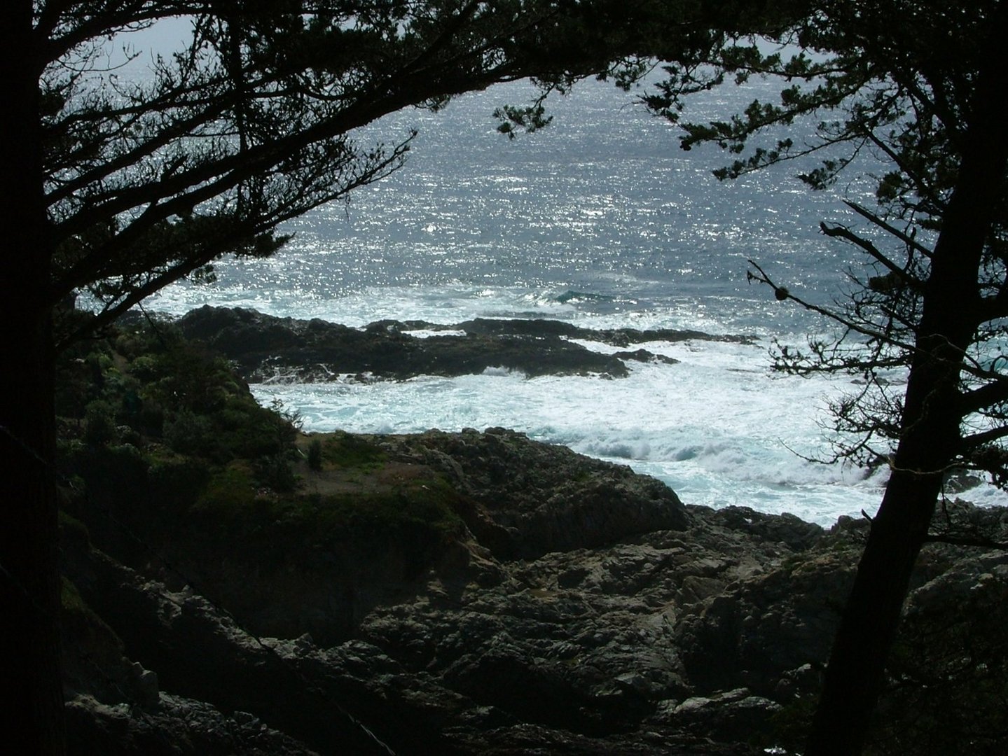 Die Pazifikküste bei Big Sur (2)