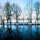 die Pegnitz - ein Winterspiegel