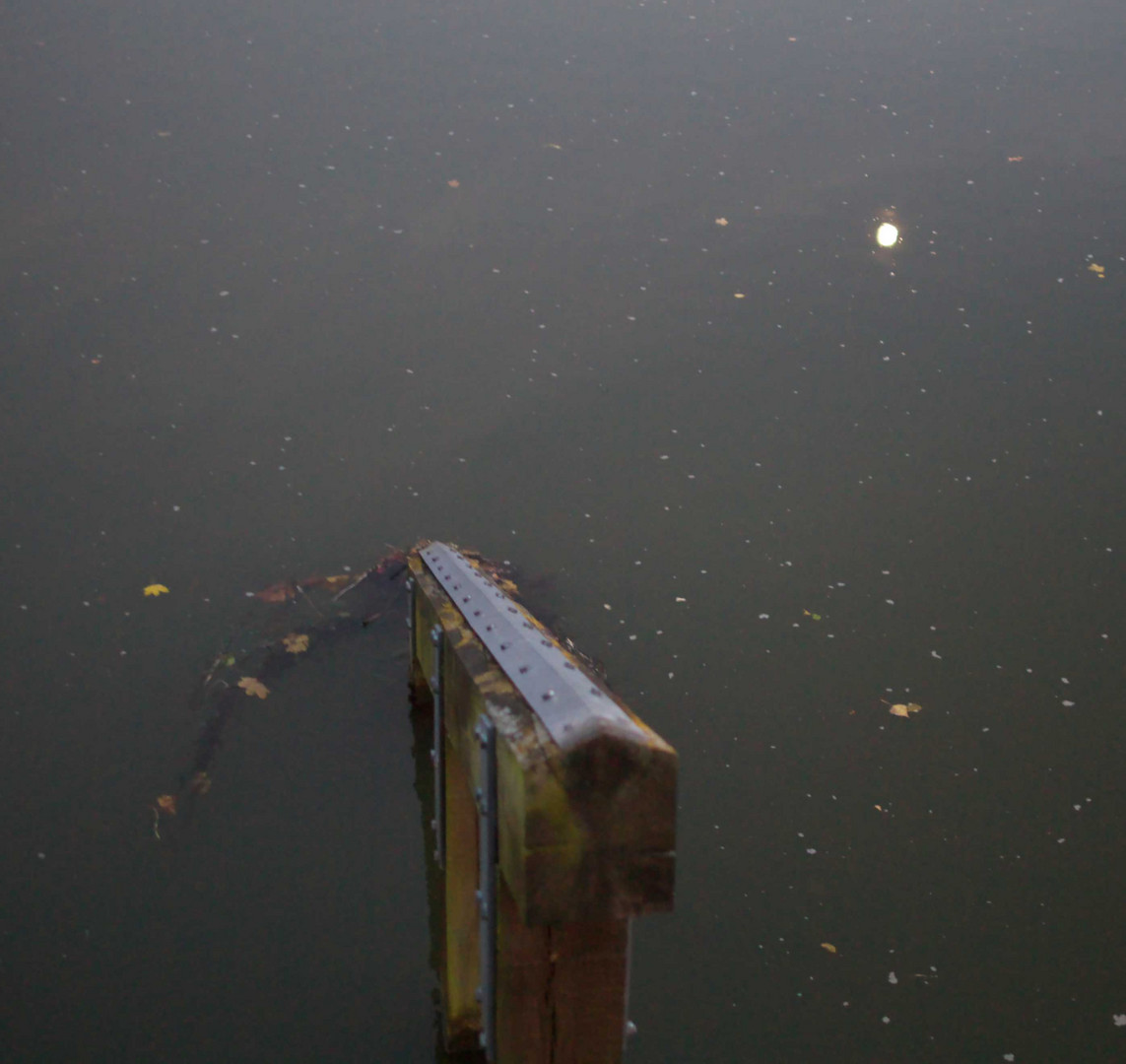 Die Pegnitz im Mondlicht