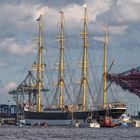 Die PEKING kreutz den Walterhofer Hafen