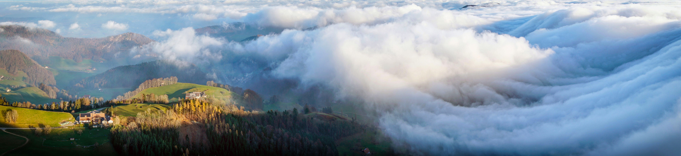 Die perfekte (Nebel-)Welle