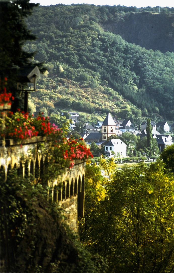 DIE PERLE AM RHEIN