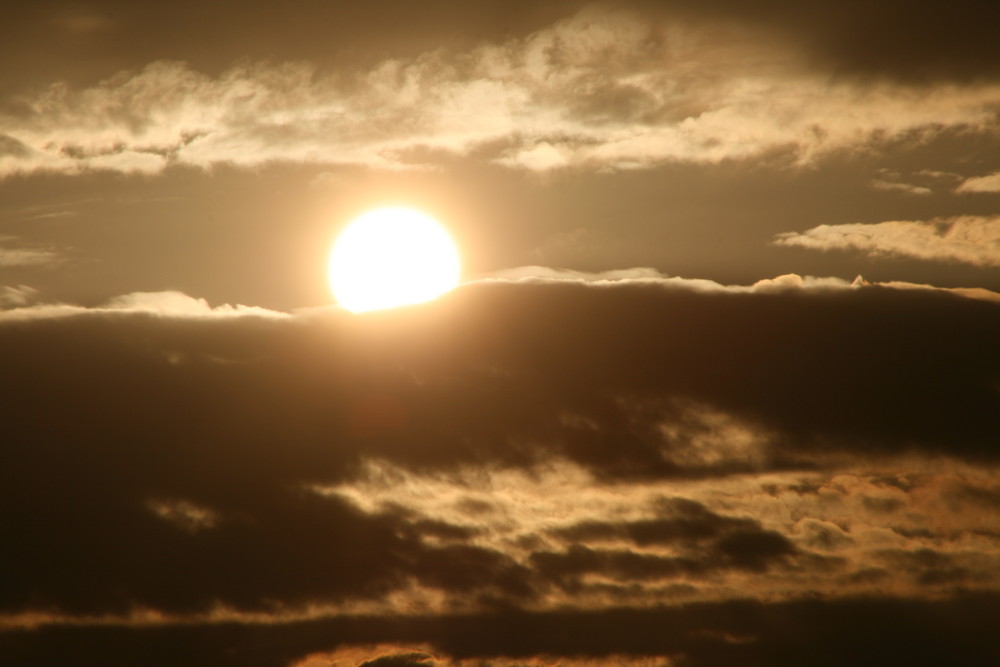 Die Perle in der Wolken-Auster