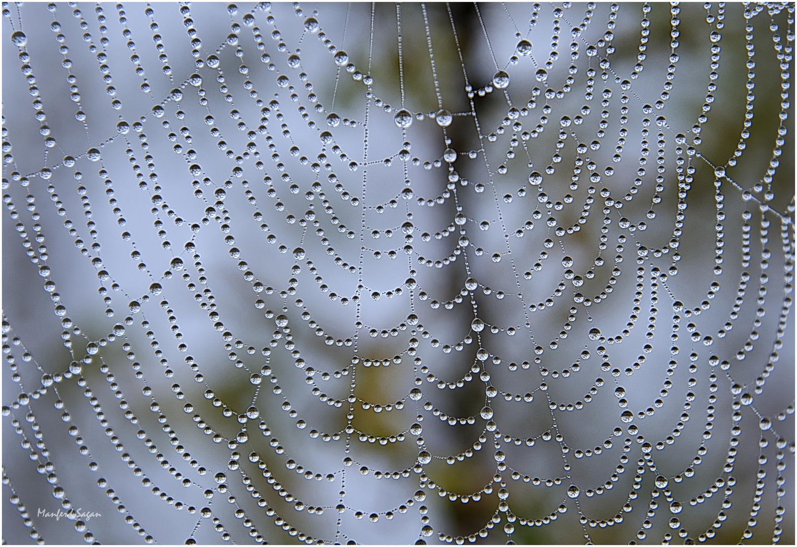 "Die Perlen der Arachne"