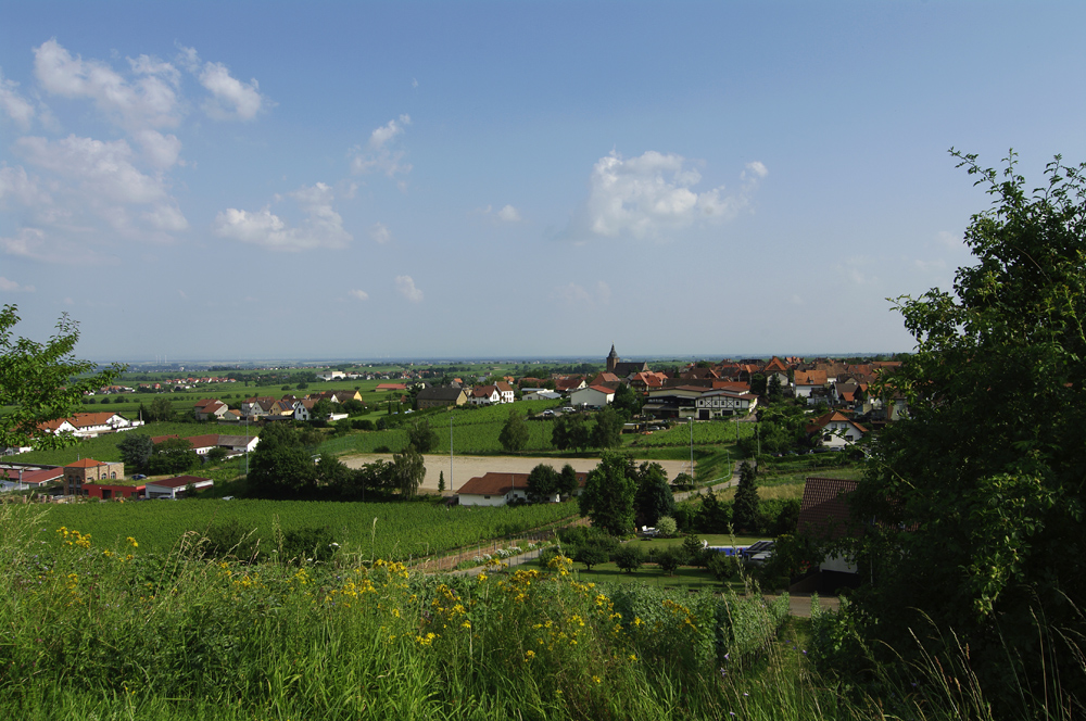 ...die Pfalz