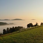 Die Pfalz erwacht, heute scheint es ein schöner Tag zu werden...