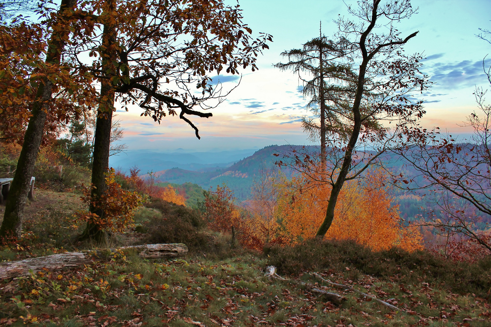 Die Pfalz im Herbst