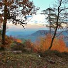 Die Pfalz im Herbst