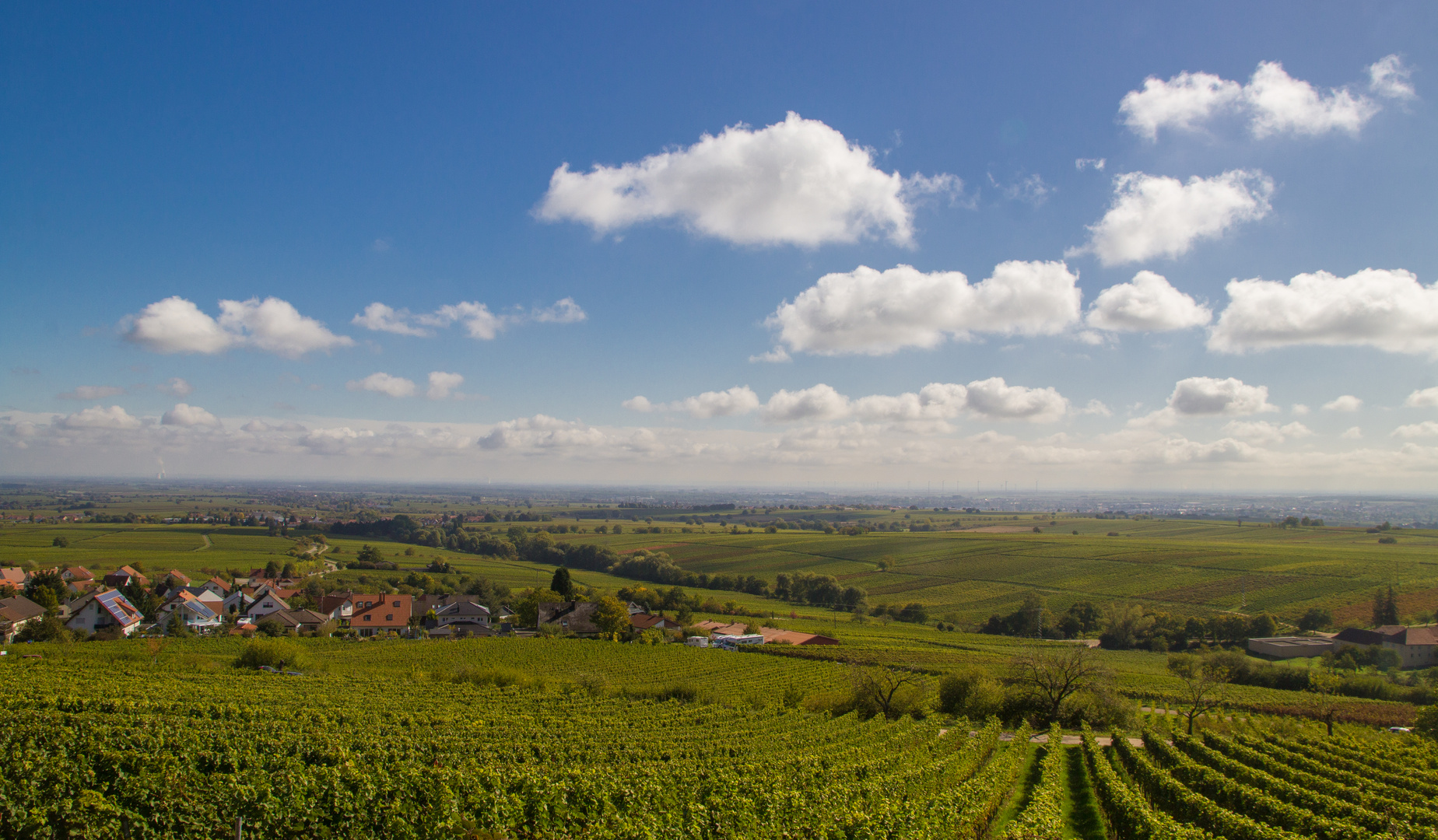 Die Pfalz im Herbst