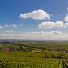 Die Pfalz im Herbst