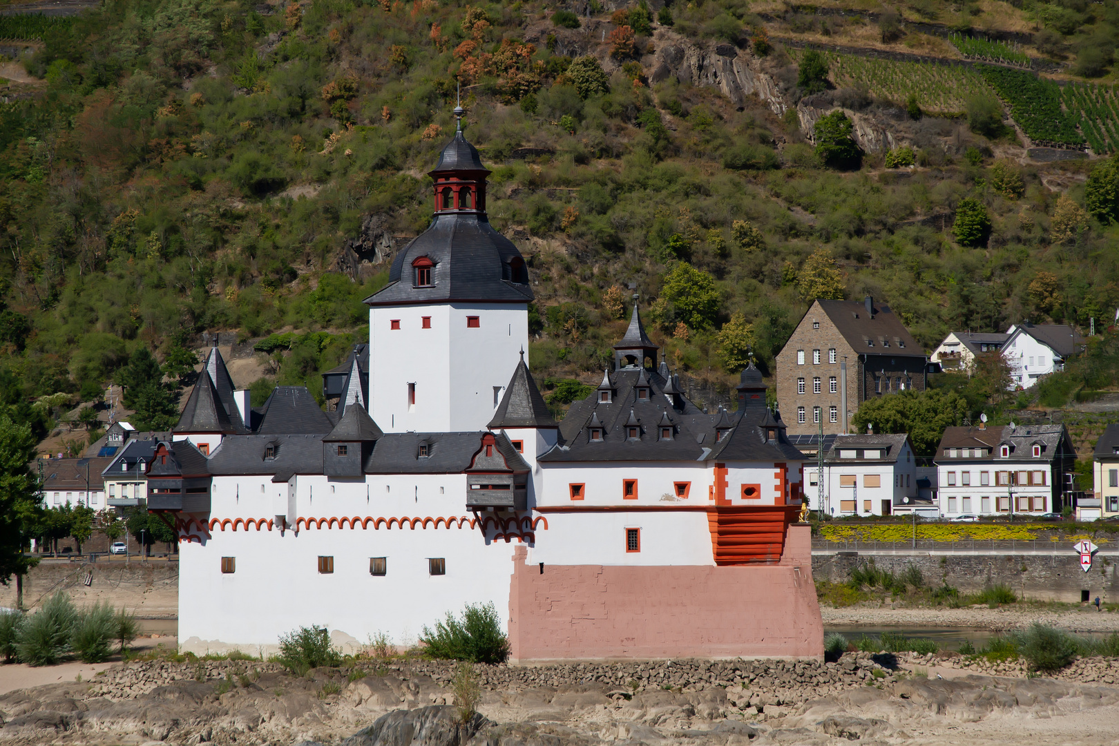 Die Pfalz im Rhein