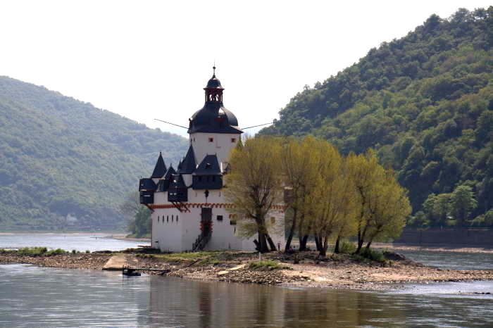 die pfalz im rhein