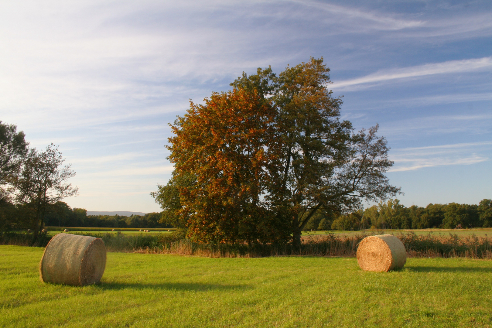 Die Pfalz im Spätsommer